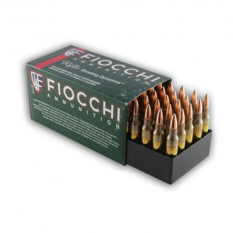 Fiocchi 223 Rem 55GR FMJ 50RD